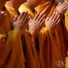 Quả báo xua đuổi chúng Tăng