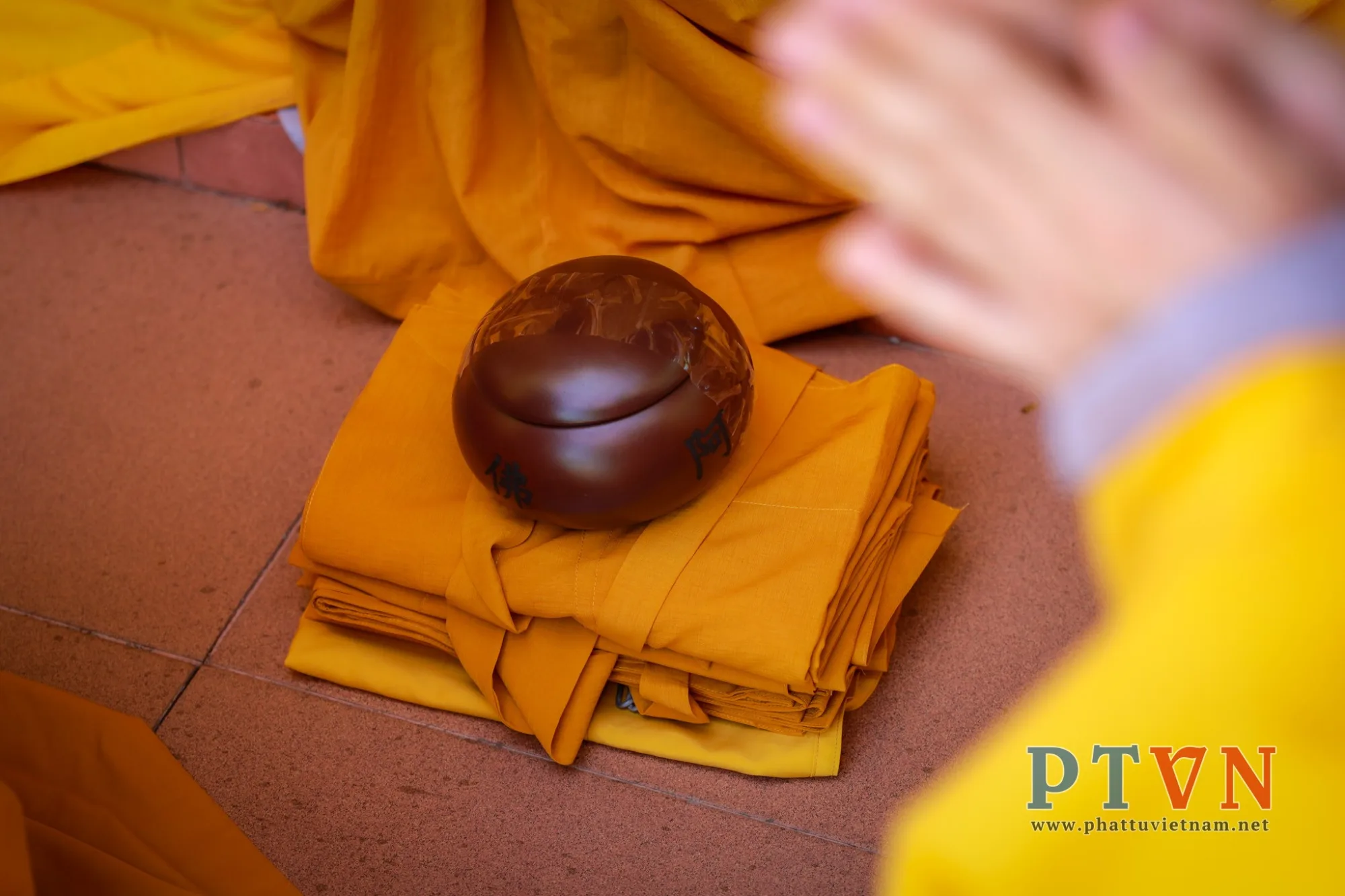 [Chùm ảnh] Truyền giới Tỳ kheo tại Đại Giới đàn Trí Độ-44