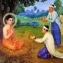 Suy nghiệm lời Phật: Cày ruộng & gieo hạt