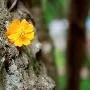 Đừng tuyệt vọng!
