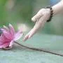 Sự linh nghiệm trong tu tập