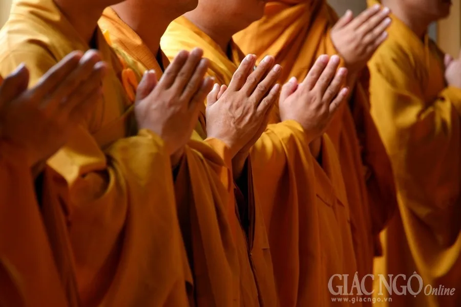Quả báo xua đuổi chúng Tăng