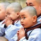 Cười cho đời bớt khổ