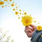 Thấy nghe mà không dính mắc