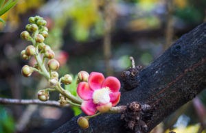 Con người cao bởi chữ “nhẫn”, quý ở chữ “thiện” và hơn nhau ở chữ “ngộ”