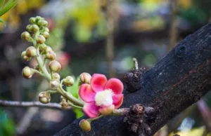 Con người cao bởi chữ “nhẫn”, quý ở chữ “thiện” và hơn nhau ở chữ “ngộ”