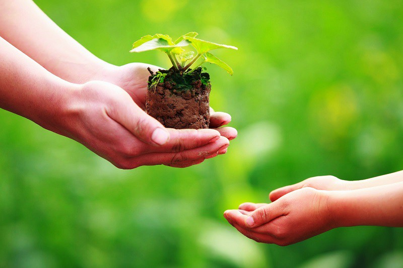 Phước đức của tự thân