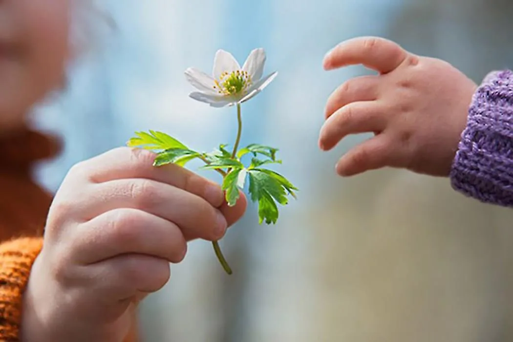 Đức Phật từng dạy, nếu chúng ta có ít hoặc không có tham ái thì không sinh vào cõi Ta-bà này