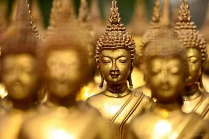 Chánh pháp và Giải thoát