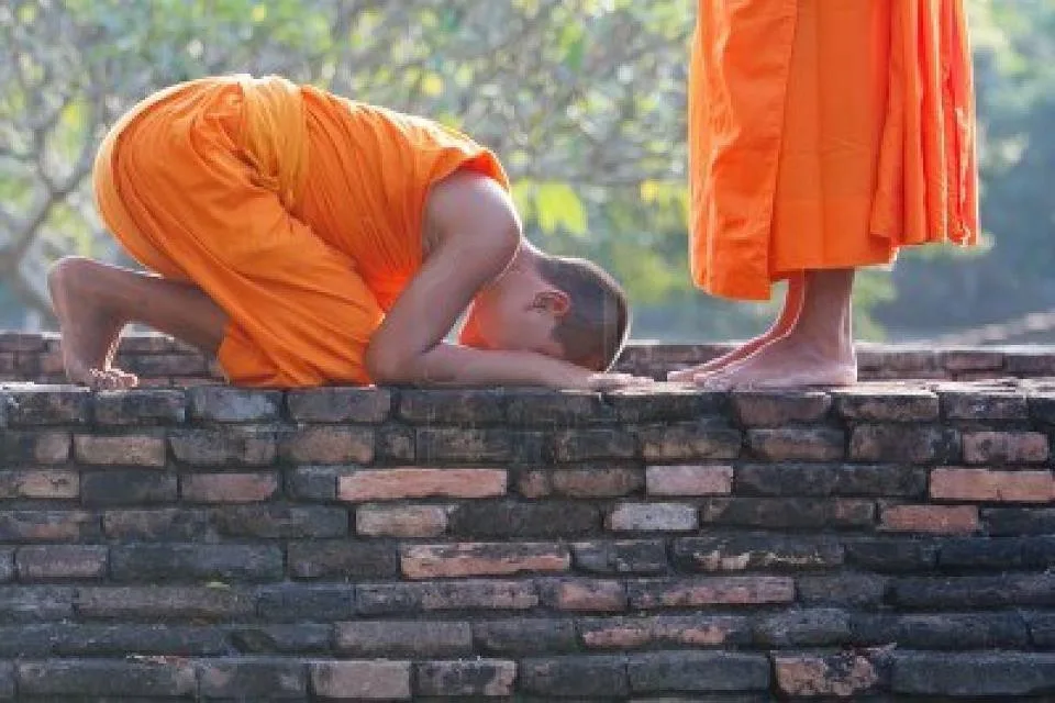 Hãy gieo duyên với Tăng-già có giới định tuệ để biết Pháp và được lợi ích lâu dài