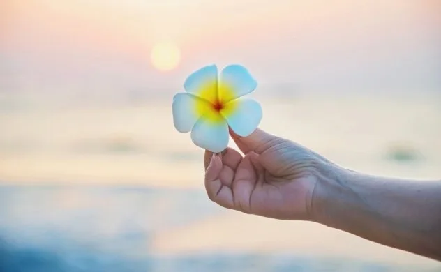 Chuyển hóa ác tâm