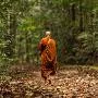 Lợi ích của sự biết đủ
