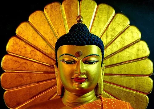 Tu học để phát huy đạo lực & trí tuệ