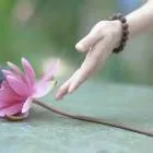 Buông xả để chuyển hóa