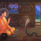 Kệ trừ rắn độc