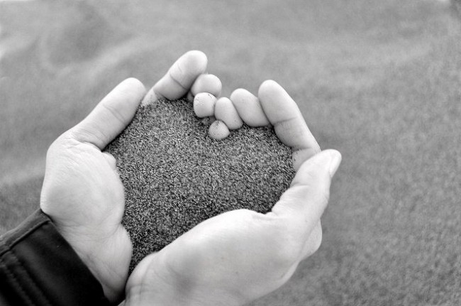 Hạnh phúc thực tại giữa thế giới vô thường