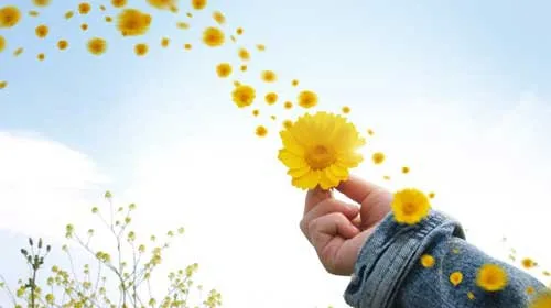 Thấy nghe mà không dính mắc