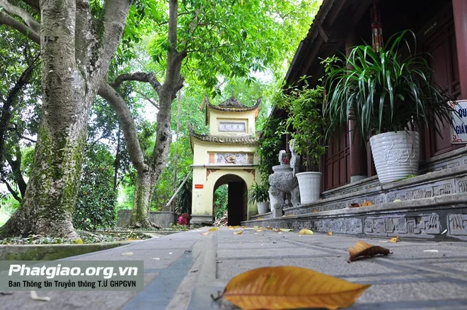 Vãn cảnh chùa Tiêu, Bắc Ninh
