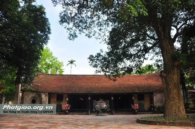 Vẻ đẹp chùa Nôm, Hưng Yên