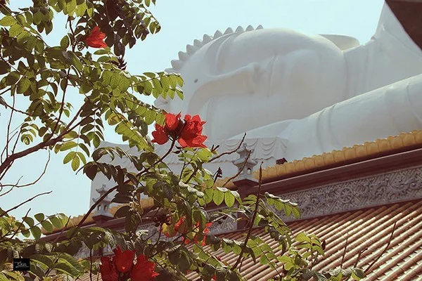 Khuôn mặt đức Phật hiền từ với nụ cười an lạc trên môi