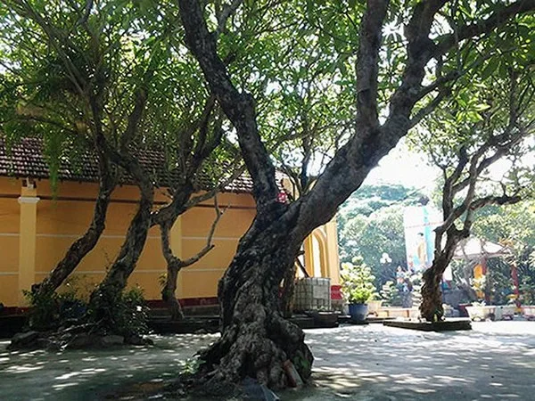 Mùa Vu Lan tham quan chùa cổ 400 tuổi, nơi thờ tướng Giáp