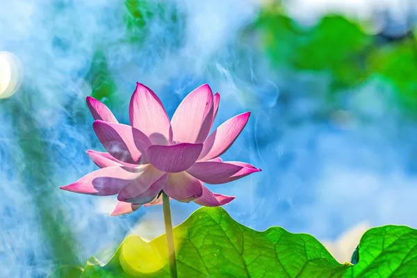Mười một cửa giải thoát