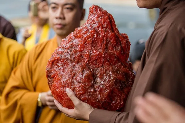 Mô hình trái tim bất diệt của Bồ Tát Thích Quảng Đức.