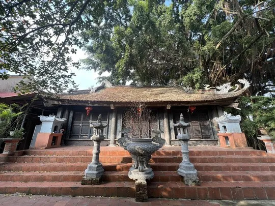 Cụ bà 95 tuổi tha thiết xin tặng chùa cho Giáo hội Phật giáo-0