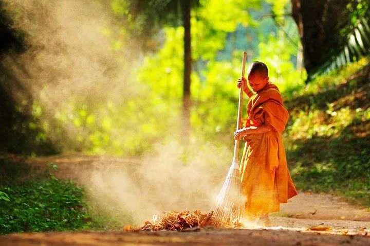 Rửa chén bát, cào lá khô: Trí tuệ từ các bậc tiền nhân