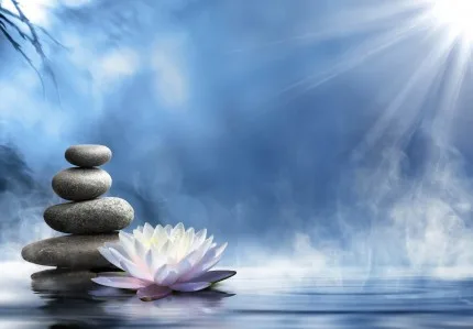 Do đâu mà khổ đau, luân hồi sinh tử có mặt