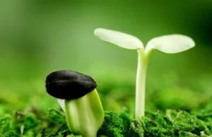 Những câu chuyện thâm thúy về cuộc đời, đọc xong bạn sẽ ngộ ra được nhiều điều