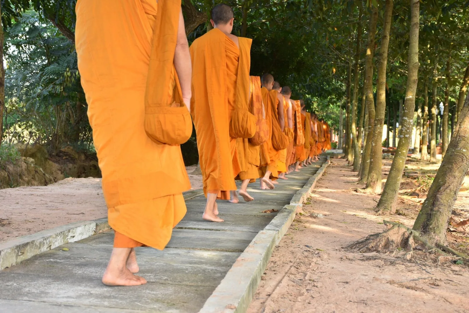 Chư Tăng thiền hành - Ảnh minh họa