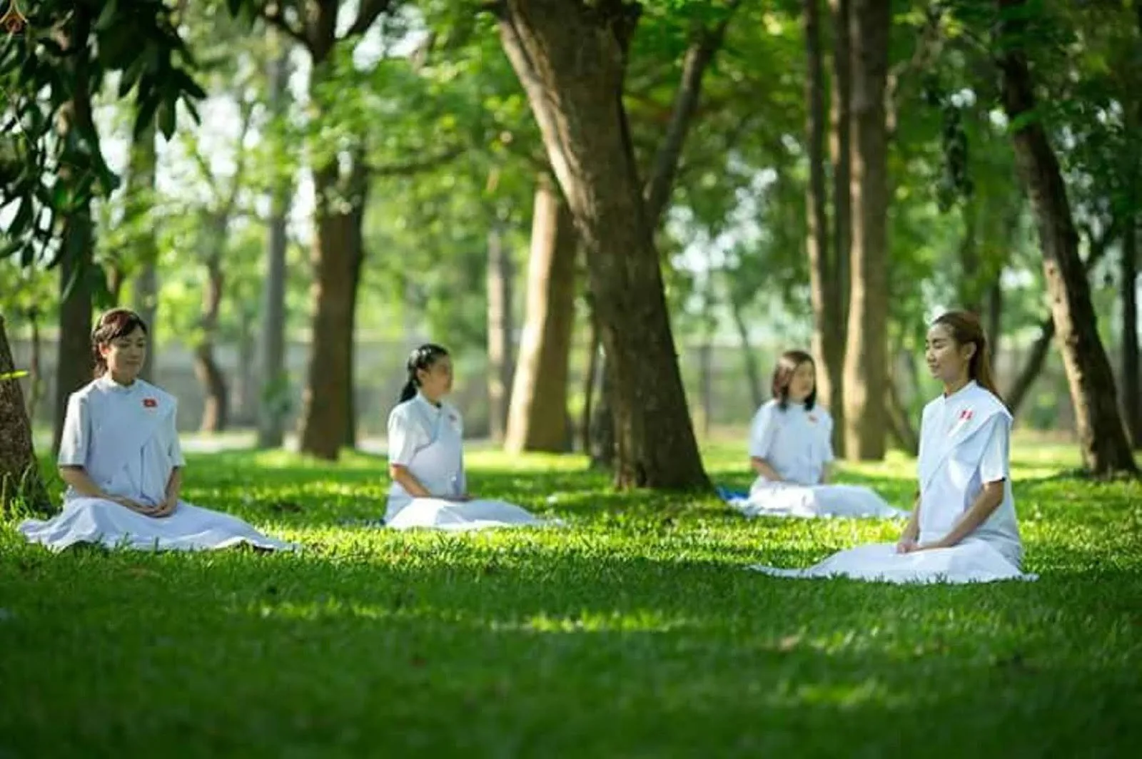 Thiền-kỹ năng sống đưa đến sự thành công-0