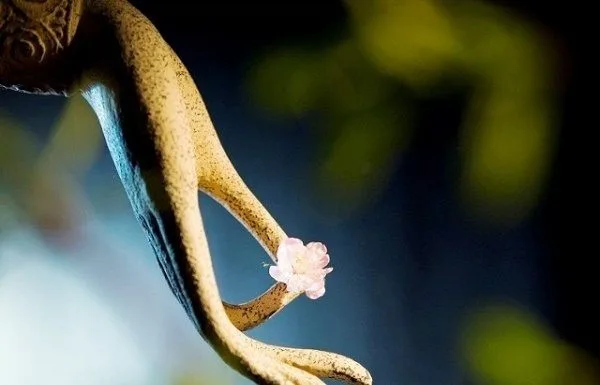 Vạn sự tùy duyên, cưỡng cầu vô ích