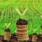 Giải pháp nào cho Phật tử vì mưu sinh mà tạo nghiệp?