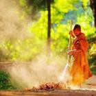 Rửa chén bát, cào lá khô: Trí tuệ từ các bậc tiền nhân