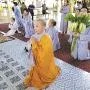Duyên lành hướng Phật