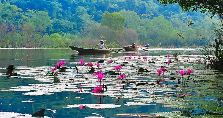 Chùa Hương - Hương Sơn, huyện Mỹ Đức, Hà Nội