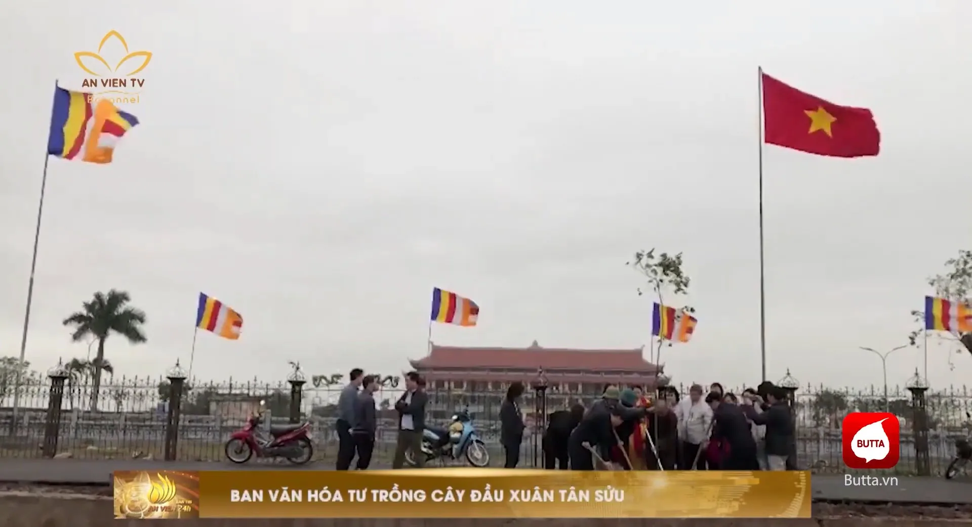 Ninh Bình : Ban VHTƯ GHPGVN trồng cây đầu xuân năm mới