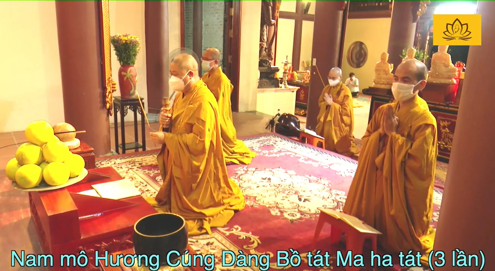 Kinh Vu Lan - Tụng đọc Thượng tọa Thích Thọ Lạc - Văn hóa Nghi lễ Phật giáo Việt nam