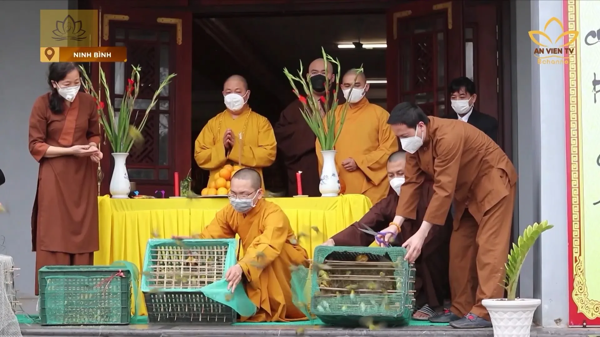 Ninh bình : Tổ đình Kim Liên phóng sinh cầu nguyện Quốc thái dân an Dịch bệnh tiêu trừ