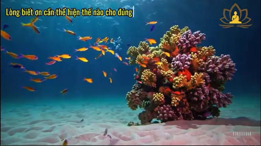Lòng biết ơn cần thể hiện thế nào cho đúng?