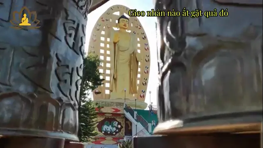 Gieo nhân nào gặt quả đó