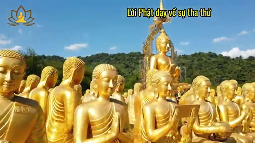 Lời Phật dạy về sự tha thứ