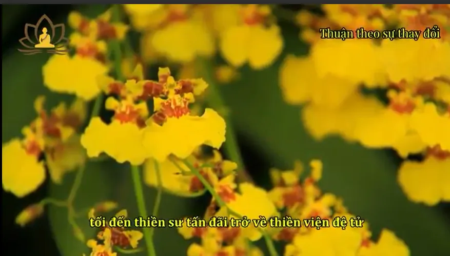 Thuận theo sự thay đổi