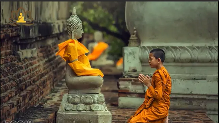 Hòa thượng chắp tay xin lỗi chú tiểu
