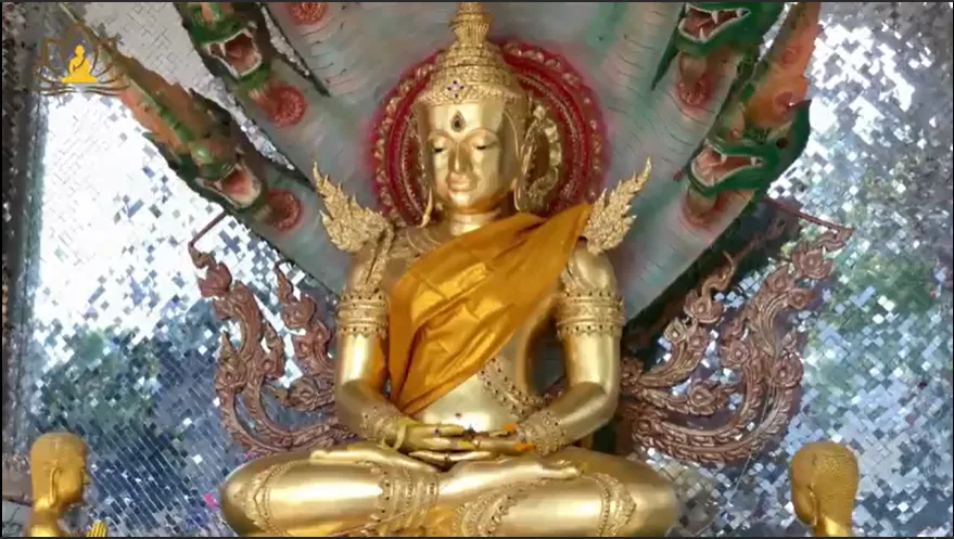 Tâm ganh ghét làm hại chính mình