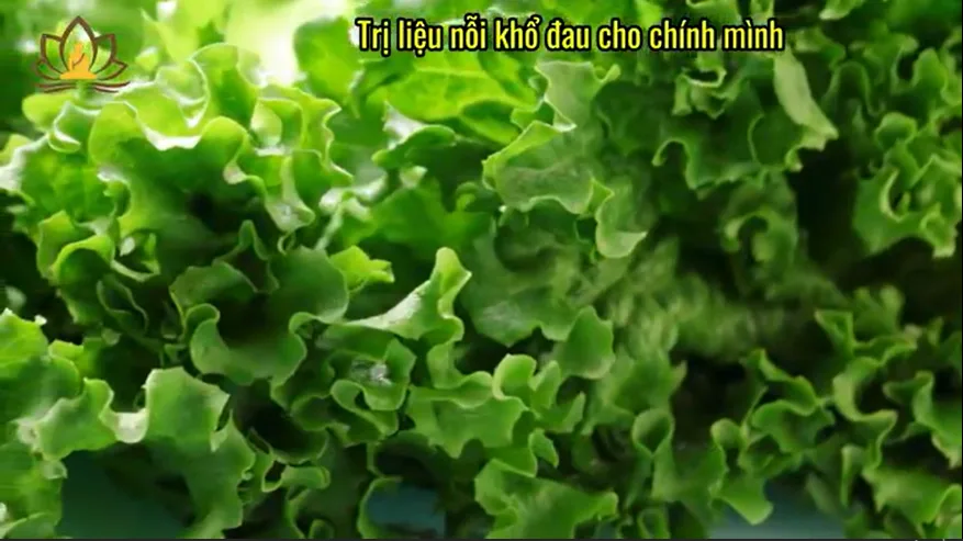 Trị liệu nỗi khổ đau cho chính mình