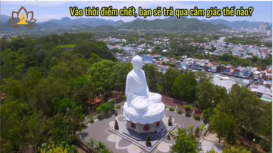 Vào thời điểm chết, bạn sẽ trả qua cảm giác thế nào?