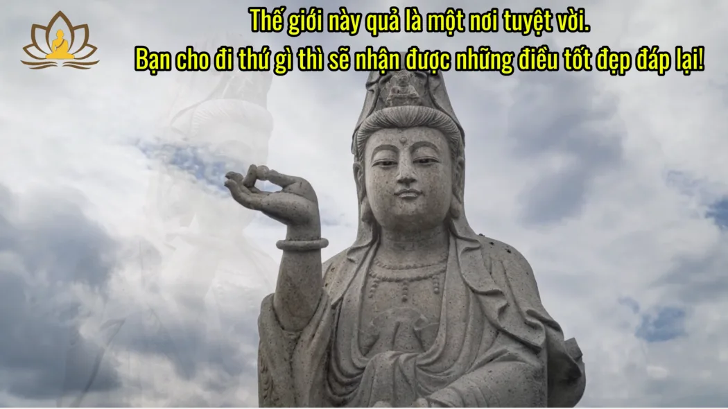 Thế giới này quả là một nơi tuyệt vời. Bạn cho đi thứ gì thì sẽ nhận được những điều tốt đẹp đáp lại!